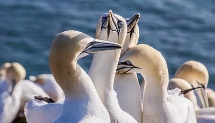 leyu乐鱼官网登录入口-国际热身赛中国女足爆冷 技术问题引发关注，国足热身赛比赛结果