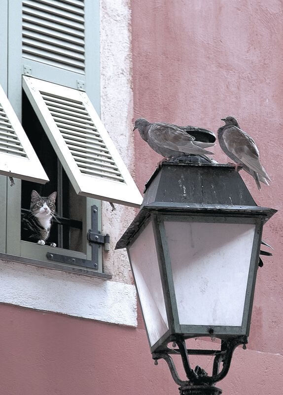 _光影奇幻赛:灯光炫彩中的精彩比拼_,奇幻光影嘉年华