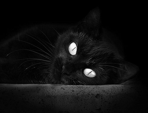 各地篮球城规划加速,打造多层次公共体育空间,篮球主题公园