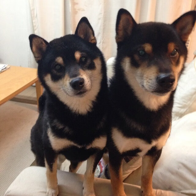 毕业季特别篇:青少年篮球“成长记”在全国多个城市展开,青少年篮球课程介绍