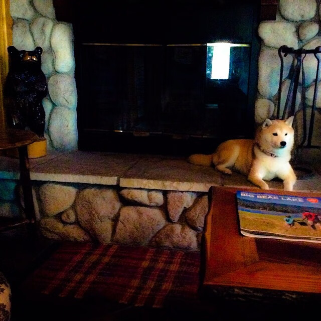 美国男足在巴黎奥运会比赛中以2-1战胜阿根廷，美国男足vs巴西