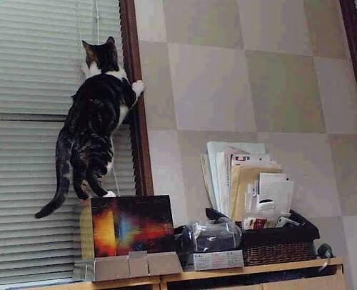 乌克兰战胜瑞典,晋级欧国亚军赛,乌克兰对瑞典比赛结果