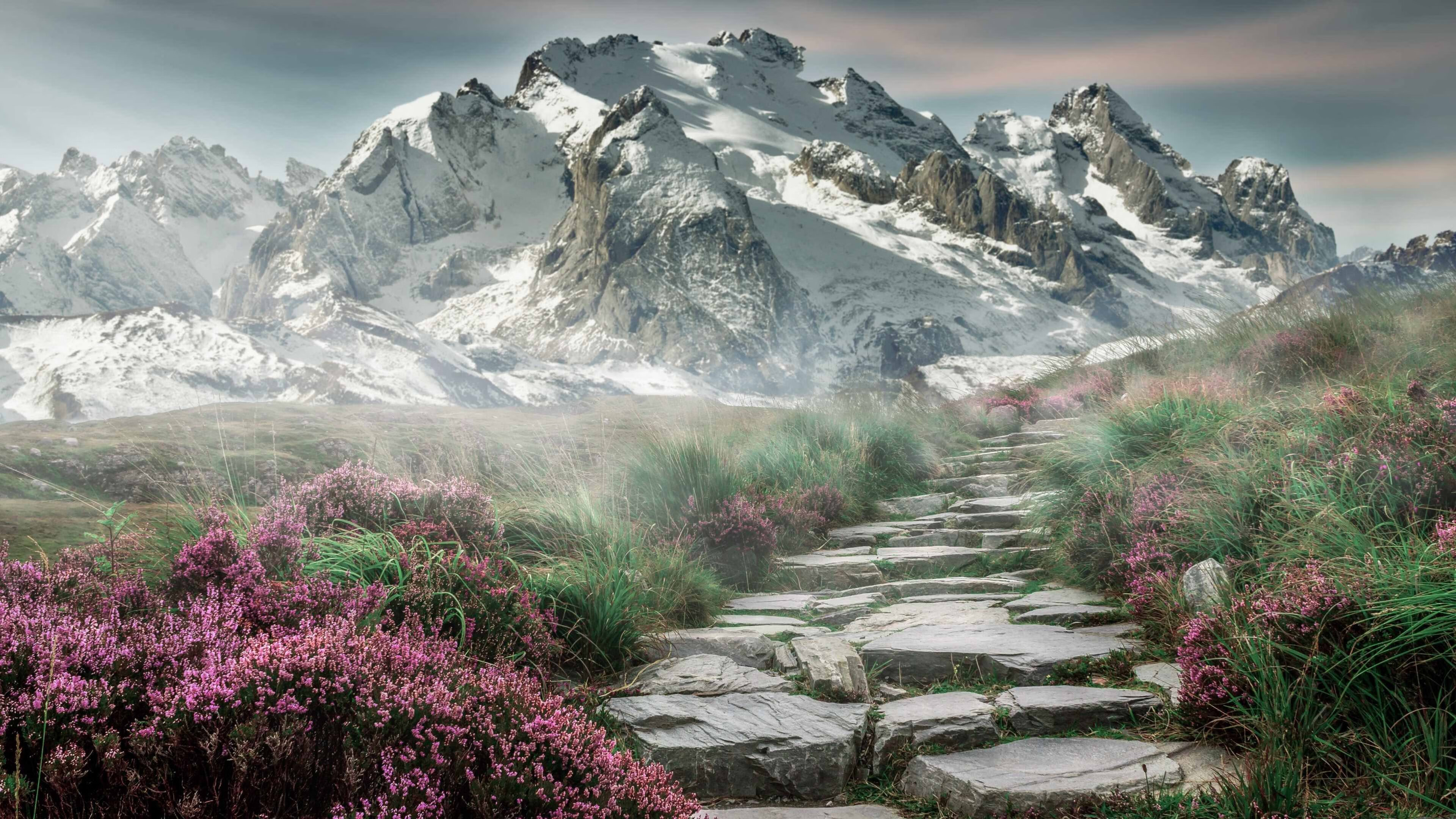 全球篮球传奇再唱激情:赛场英雄传奇再战,篮球界传奇