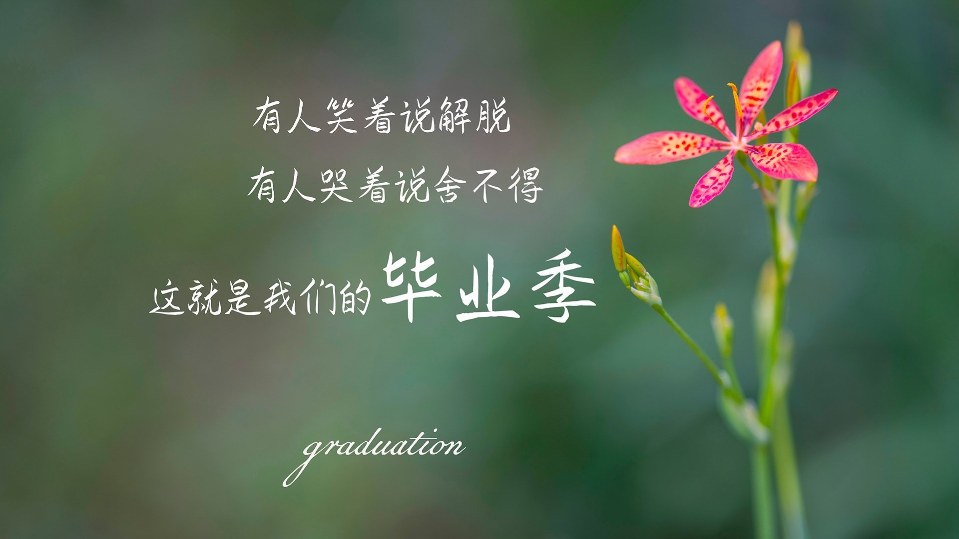 Leyu Sport下载-战火燃烧：球场上的对决激情四射，无人能挡，yy战火燃烧