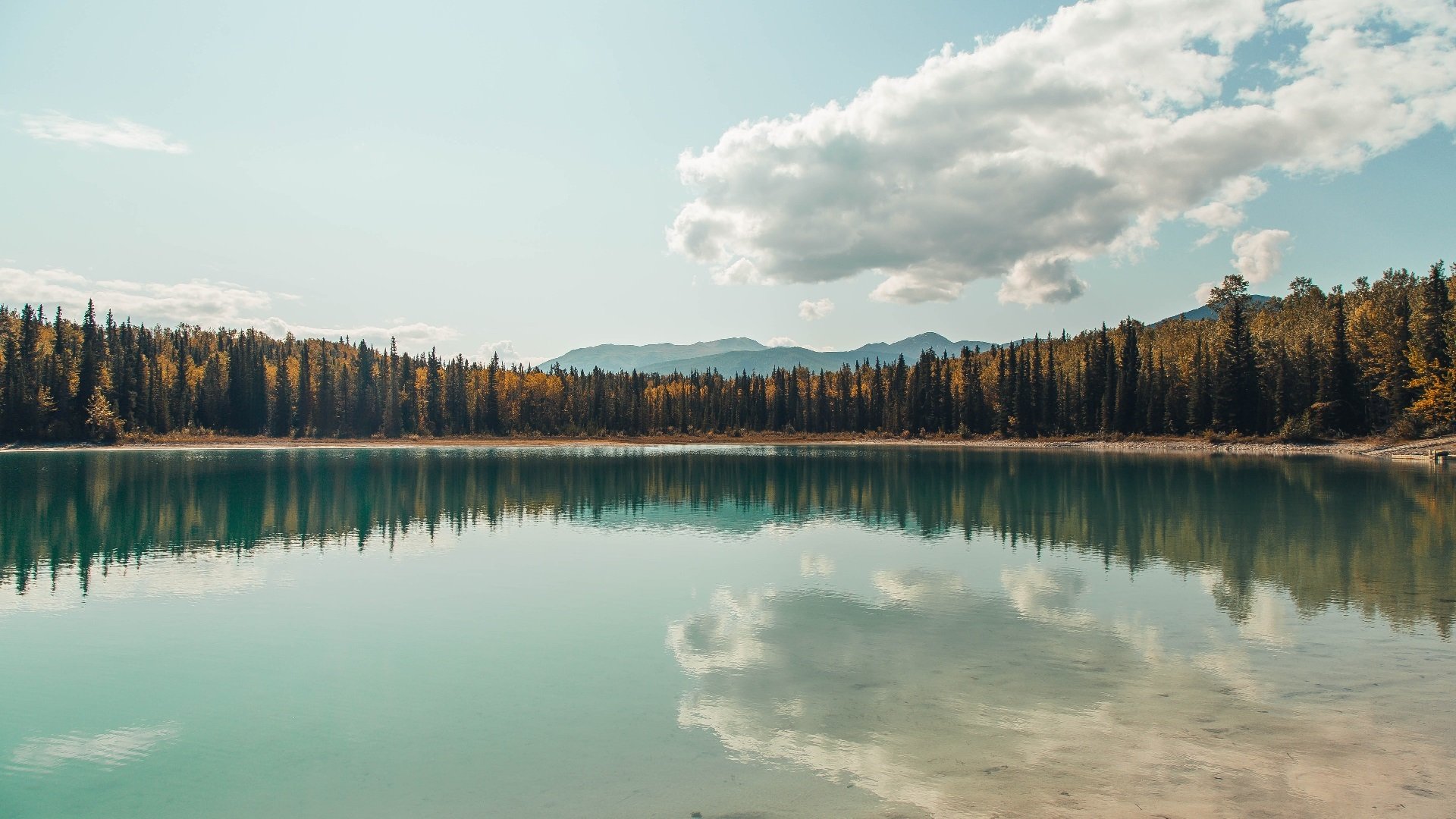 战队人员调整引发关注,战队扩人