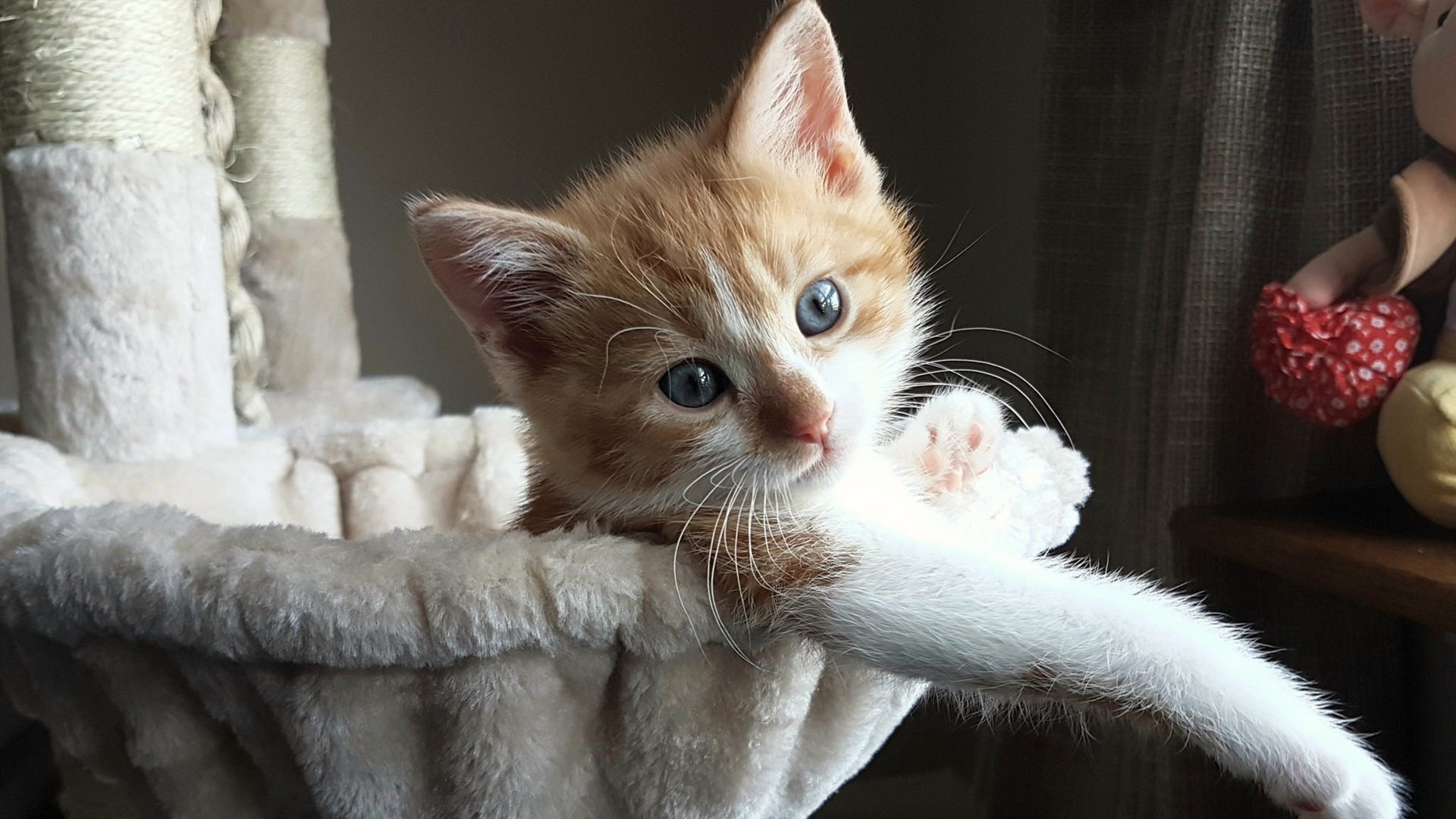 新赛季注定精彩，球员表现备受瞩目