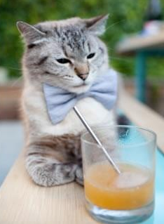 联赛严格要求，球场人员规范行为，球队的合格参赛球员