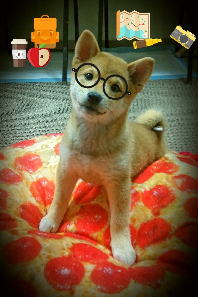 英超球队基于运动表现数据的战术布置调整案例