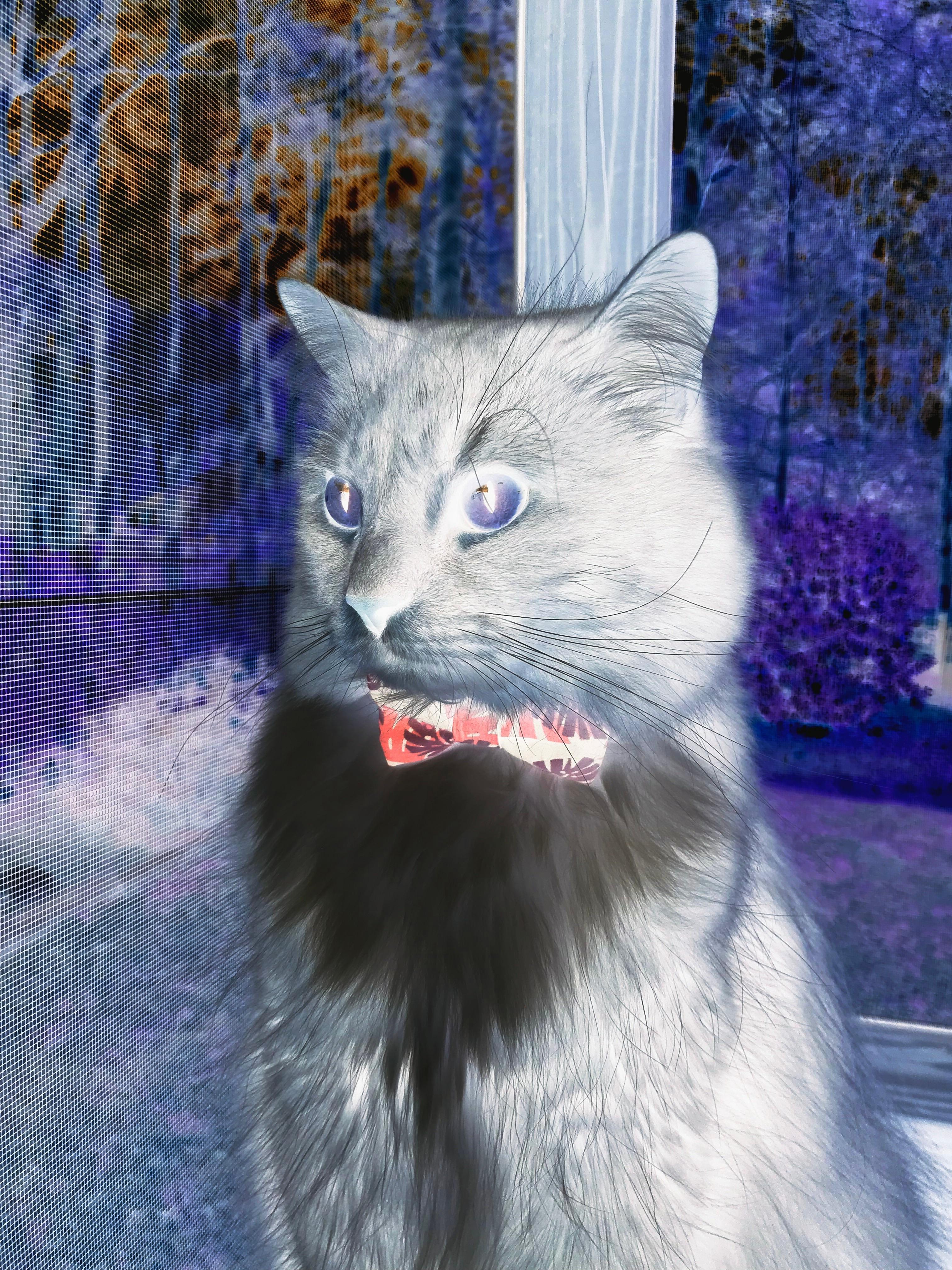 乐鱼（LEYU）体育-Palmer决赛冷静表现彰显大赛经验