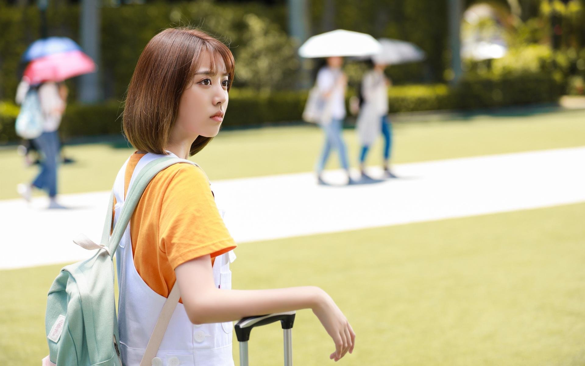 “高新体育中心:世界顶级武术选手齐聚,竞技与文化交织”