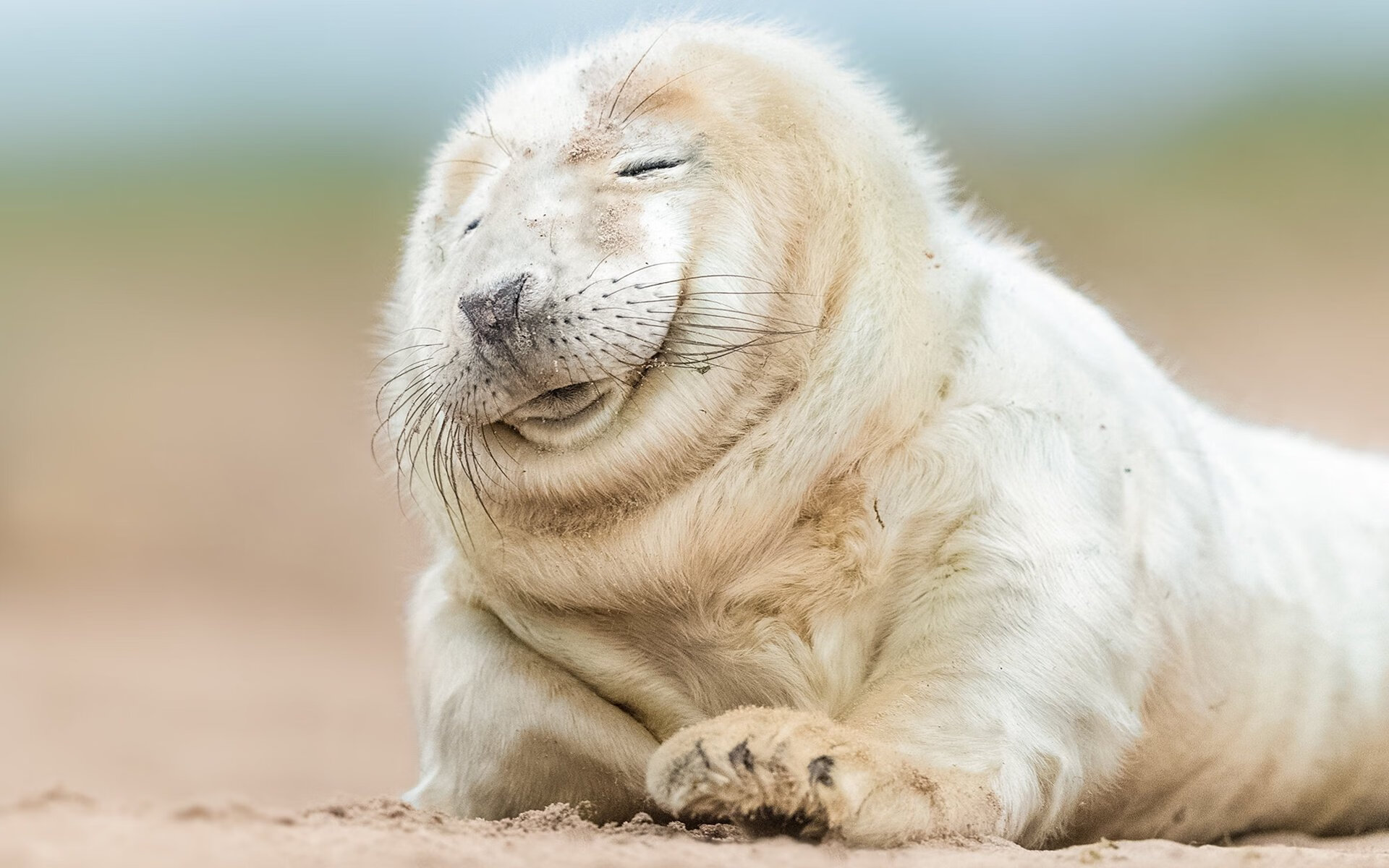 勇士训练后全队合唱放松情绪，勇士队音乐