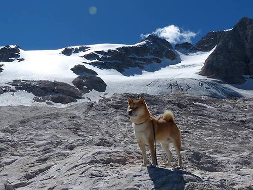 范奥特尔戴克50米蝶泳个人最佳再提升，范戴克凯尔特人