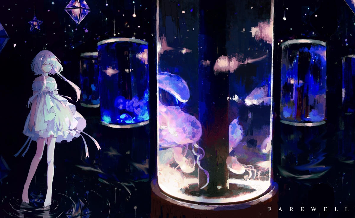 青少年橄榄球日益流行，澳大利亚培养新生代球员，橄榄球澳洲