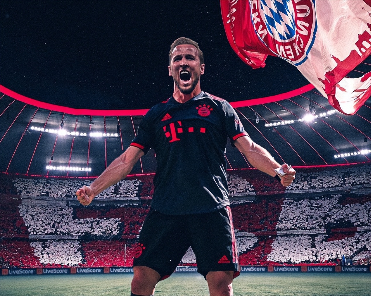 关于英超历史进球纪录，凯恩能否超越希勒？的信息